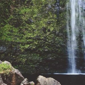 JBL Go 3 Bluetooth Lautsprecher