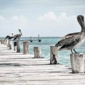 Schleich Bauernhof-Tiere Set 10-teilig