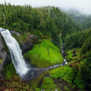 NIVEA Creme Dose 250ml