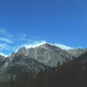 Turtle Wax Carnauba Wax 500g