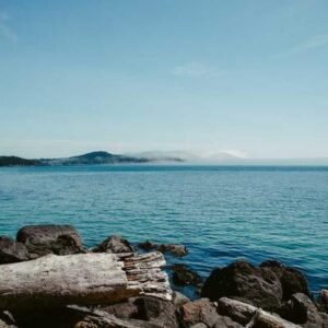 Gregs Tagebuch Band 1 - Jeff Kinney