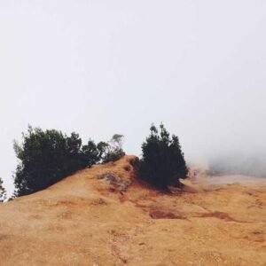 ABBA Gold Greatest Hits CD