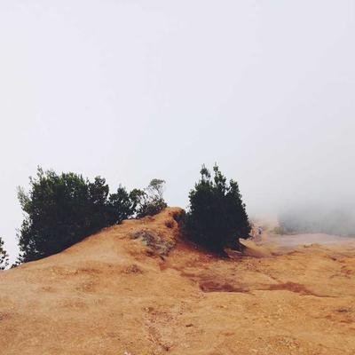 ABBA Gold Greatest Hits CD